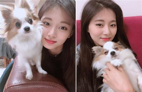 tzuyu gucci|TWICE's Tzuyu says goodbye to her beloved pet .